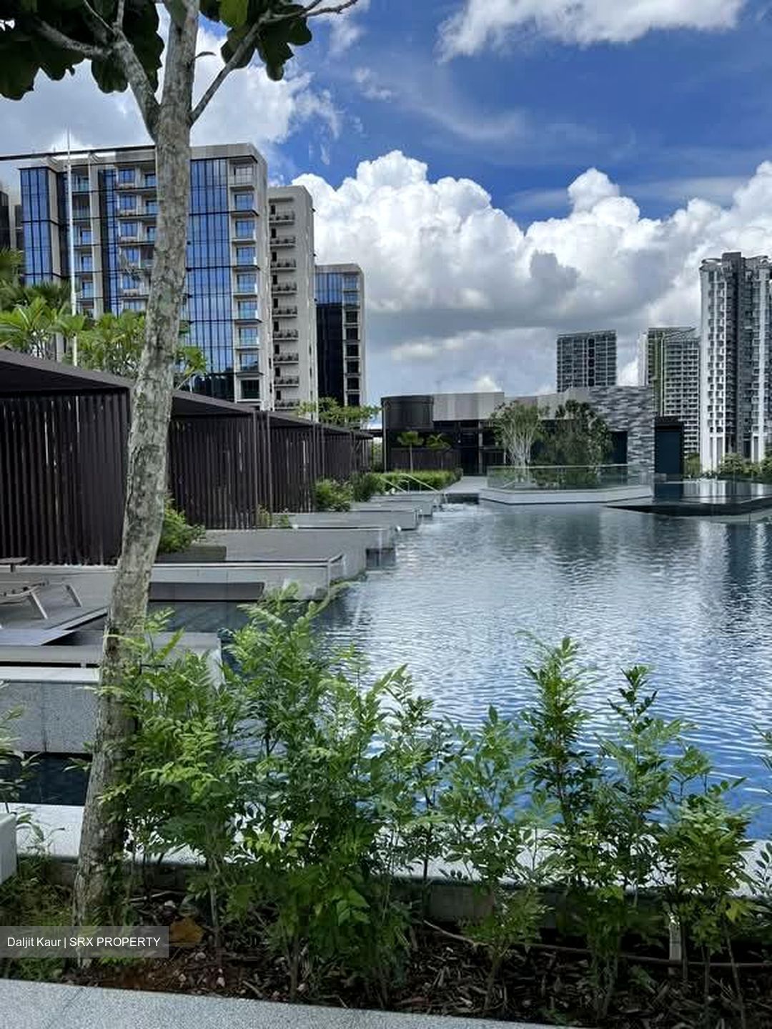 Dairy Farm Residences (D23), Apartment #563278351